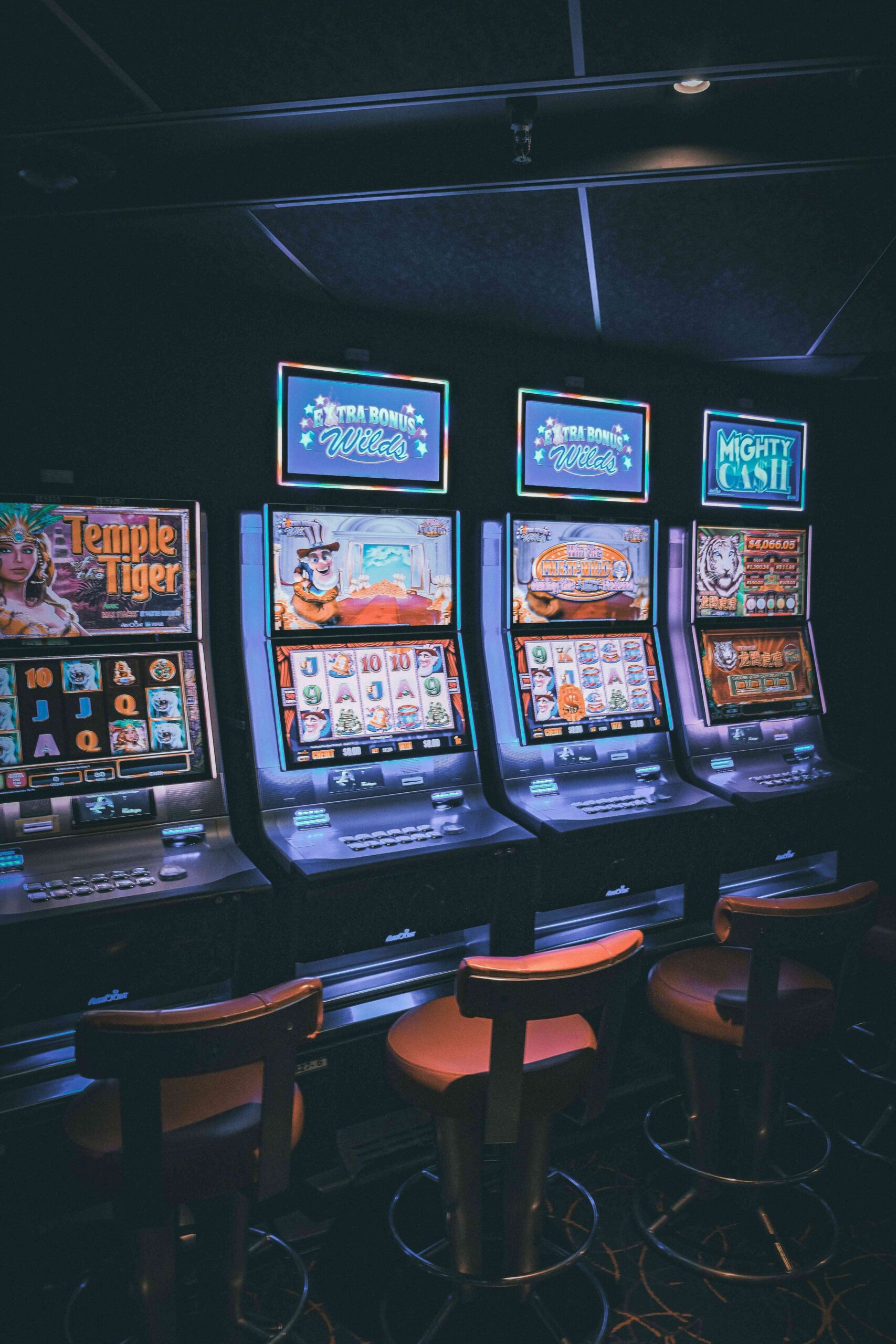 Maxroyalcasino ikinci adres